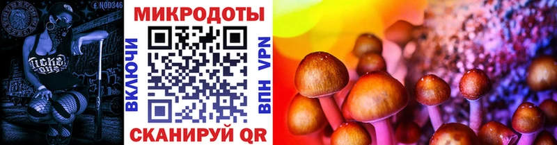 Галлюциногенные грибы Psilocybine cubensis  МЕГА как зайти  Октябрьск 